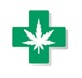 Medical Cannabis Clinics of Florida | Medical Marijuana Doctor Orlando in Orlando, FL Health & Medical