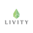 Livity in Palm Coast, FL