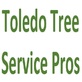 Toledo Tree Service Pros in South Side - Toledo, OH Lawn & Tree Service