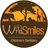 Wild Smiles - White Knoll in Lexington, SC 29073 Dentists