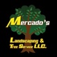 Lawn & Tree Service in Richmond - Philadelphia, PA 19124