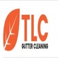 TLC Gutter Cleaning in Wheaton, IL
