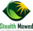 Stealth Mowed in Rochester, MN 55901 Landscape Garden Services