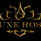 Luxe Rose in New York, NY Flower Growers & Shippers