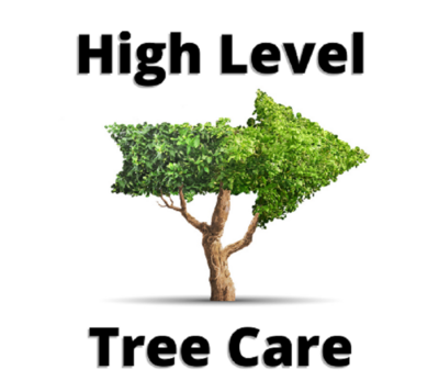 High Level Tree Care in Kansas City, MO 64125 Lawn & Tree Service