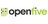 openfive in Milpitas, CA
