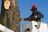 JM Atlanta Tree Service in Atlanta, GA