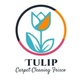 Tulip Carpet Cleaning Frisco in Frisco, TX Carpet Cleaning & Repairing