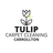 Tulip Carpet Cleaning Carrollton in Carrollton, TX