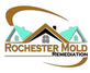 Rochester Mold Remediation in Spencerport, NY Molds