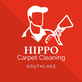Hippo Carpet Cleaning Southlake in Trophy Club, TX Carpet Cleaning & Repairing