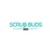 Scrub Buds Cleaning Service of Charlotte in Third Ward - Charlotte, NC