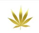 Green Source Genetics in San Diego, CA