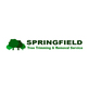Springfield Tree Trimming & Removal Service in Springfield, MO Lawn & Tree Service