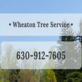 Lawn & Tree Service Wheaton, IL 60187