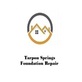 Tarpon Springs Foundation Repair in Tarpon Springs, FL