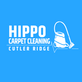 Hippo Carpet Cleaning Cutler Ridge in Cutler Bay, FL