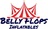 Belly Flops Inflatables in Minneapolis, MN 55408 Party Equipment & Supply Rental