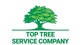 Top Tree Service Company - Tree Trimming, Stump Removal, Land Clearing, Decatur, GA in Decatur, GA