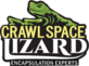 Crawlspace Lizard in Roswell, GA Basement Waterproofing