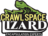 Crawlspace Lizard in Roswell, GA