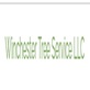 Winchester Tree Service, in Winchester, VA Lawn & Tree Service