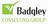 Badgley Consulting Group in Kennewick, WA