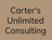 Carter's Unlimited Consulting in Downtown - Saint Louis, MO 63102