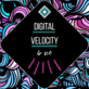 Digital Velocity and SEO in Downtown - Olympia, WA Website Management