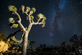 Stargazing Joshua Tree in Joshua Tree, CA Adventure Travel