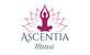 Ascentia Maui-Real Estate Professionals with Mission Critical Results in Wailuku, HI Real Estate