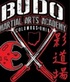 Budo Martial Arts Academy in Columbus, OH Martial Arts & Self Defense Schools