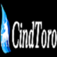 Cindtoro in Orlando, FL Business Services