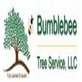 Bumblebee Tree Service & Landscape Design in Sewell, NJ Lawn & Tree Service