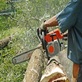 Tree Service Logan in Logan, UT Lawn & Tree Service