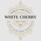 White Cherry Studio in Lake Worth, FL