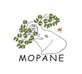 Mopane in Carmel, CA Art Goods Storage