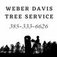 Weber Davis Tree Service in Ogden, UT Lawn & Tree Service