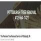 Pittsburgh Tree Removal in Pittsburgh, PA Lawn & Tree Service