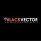 Blackvector in Buckhead - Atlanta, GA Computer Software