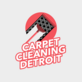 Carpet Cleaning Detroit MI in Downtown - Detroit, MI Carpet Cleaning & Repairing
