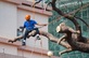 Fort Wayne Tree Pros in Fort Wayne, IN Lawn & Tree Service