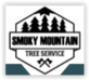 Smoky Mountain Tree Service in Knoxville, TN Lawn & Tree Service