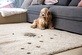 Carpet Cleaning of Murfreesboro in Murfreesboro, TN Carpet & Rug Contractors