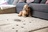 Carpet Cleaning of Murfreesboro in Murfreesboro, TN