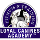 Loyal Canines Academy in Peabody, MA AA (Alcoholics Anonymous)