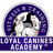 Loyal Canines Academy in Peabody, MA