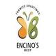 Encino’s Best Termite Solutions in Encino, CA Pest Control Services