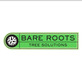 Bare Roots Tree Solutions in Preston Hollow - Dallas, TX Lawn & Tree Service