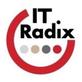 IT Radix in Whippany, NJ
